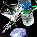 Grey Goose- zdjęcie